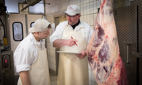 Fleischermeister sichten und prüfen die aktuelle Rindfleischqualität